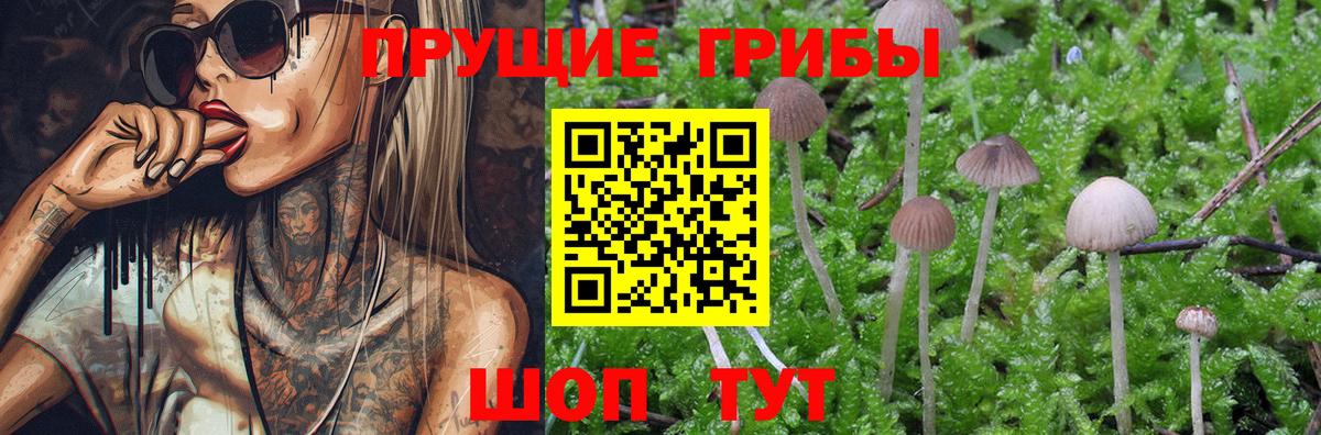 Псилоцибиновые грибы MAGIC MUSHROOMS Южноуральск
